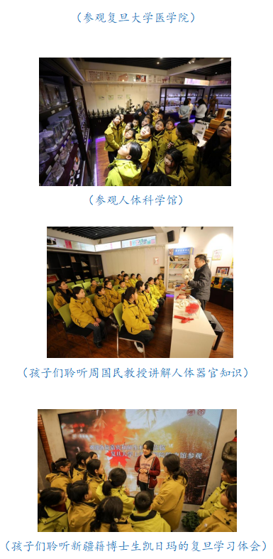 678f683593291.png